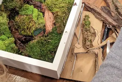 Moss Frame Art Workshop | NYC thumbnail