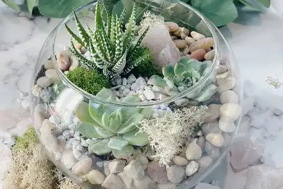 A glass terrarium filled with various small succulents, pebbles, and moss, set against a backdrop of lush greenery. Ideal for teambuilding workshops focused on creativity and relaxation, perfect for HR professionals looking to book unique group activities.