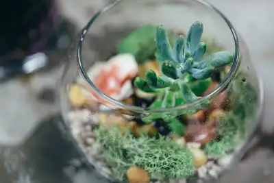 Terrarium Building with Succulents thumbnail
