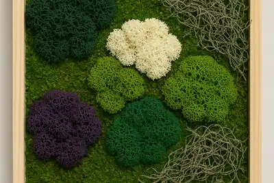 Make Your Own Mini Moss Art thumbnail