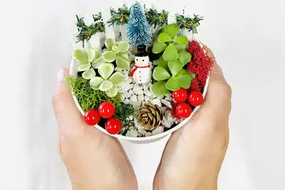 Create a Mini Winter Planter thumbnail