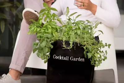 Seasonal Container Gardening Workshop | Austin thumbnail